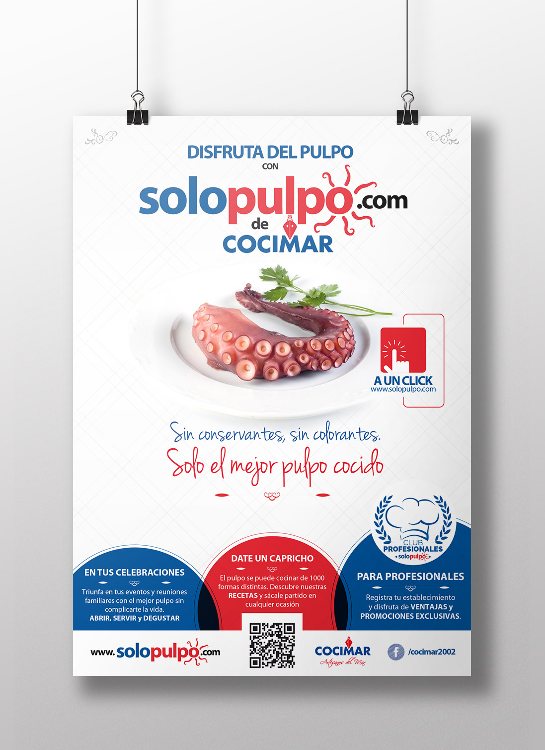 Diseño gráfico Valladolid - Cartel Solopulpo