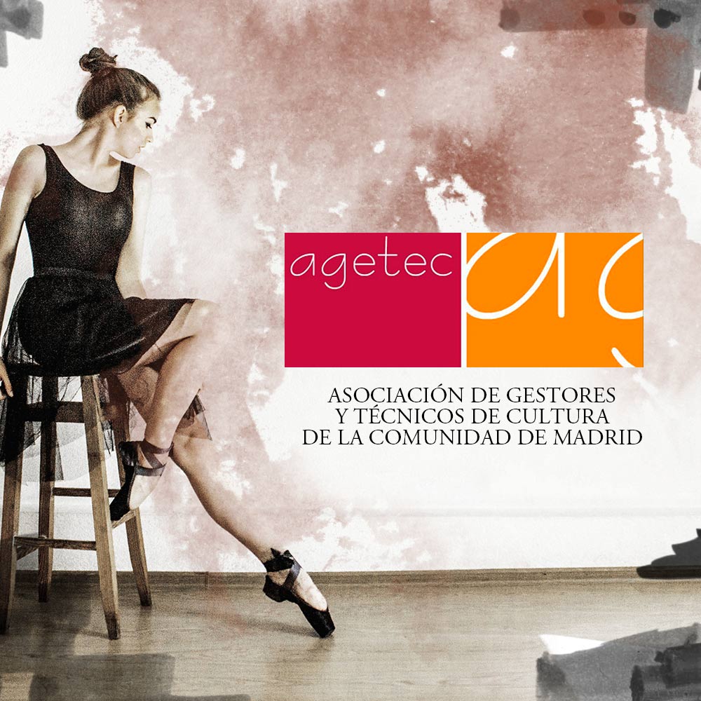 Diseño web Valladolid - AGETEC