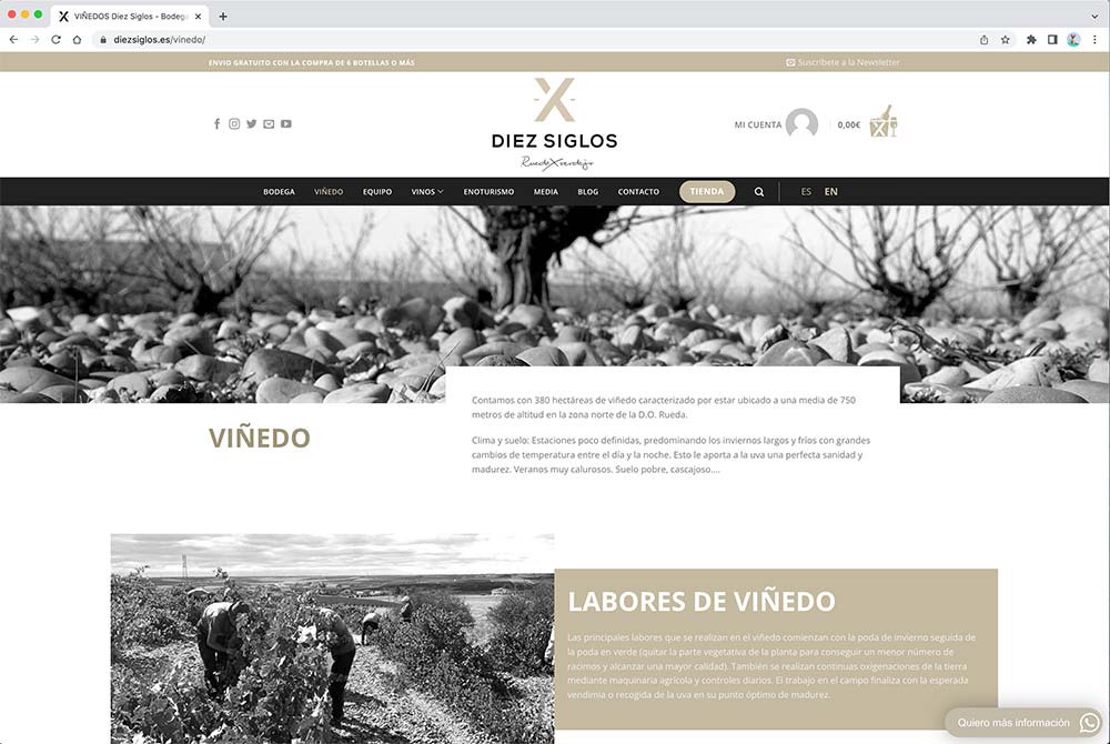 Diseño Web Valladolid - Diez Siglos