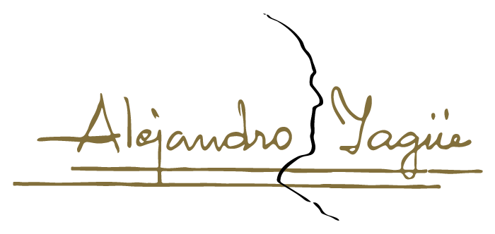 Diseño web Valladolid - ALEJANDRO YAGÜEº