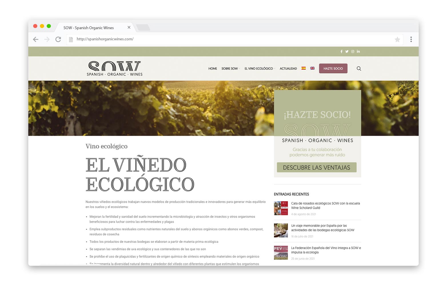 Diseño web Valladolid - SOW