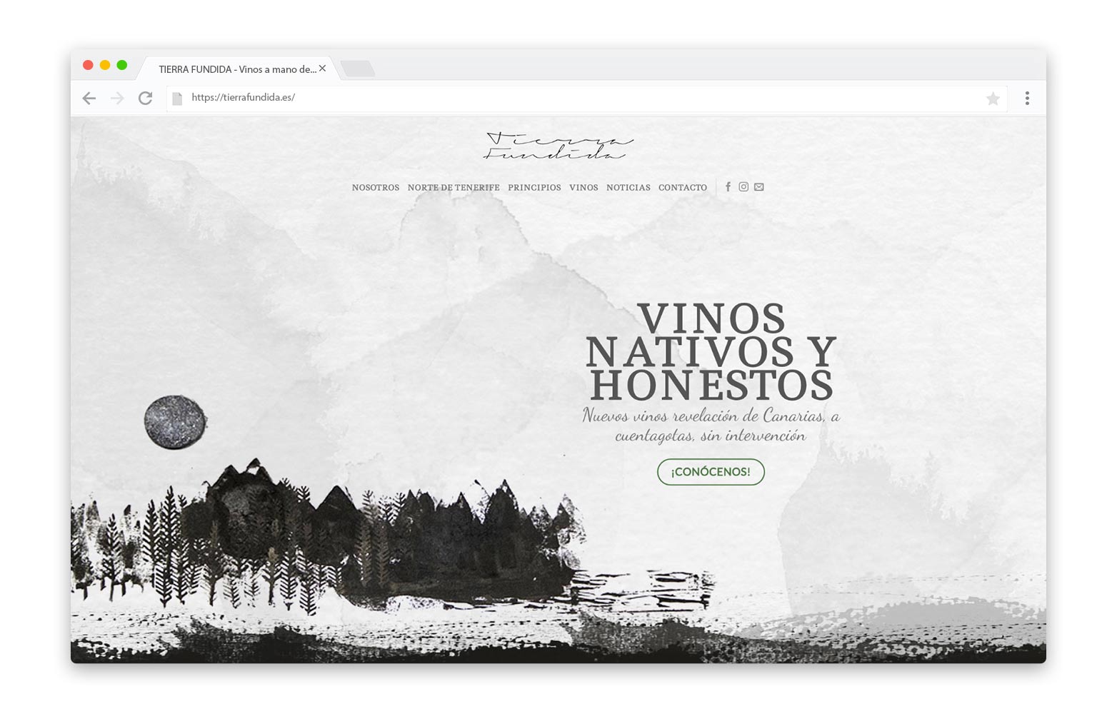 Diseño web Valladolid - TIERRA FUNDIDA