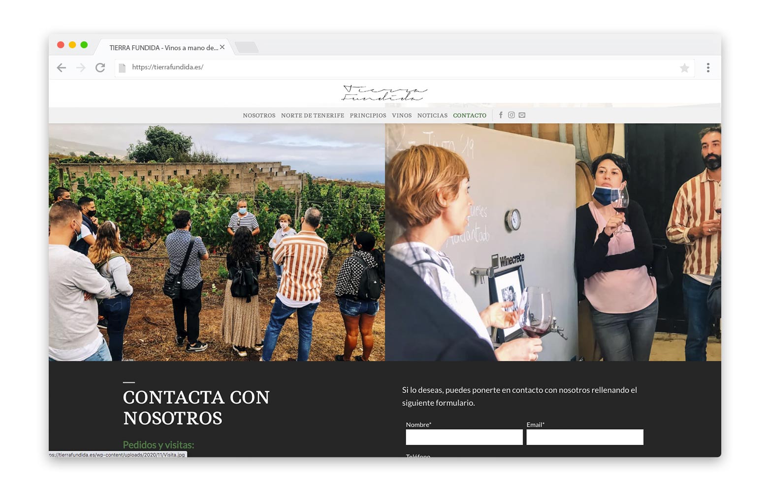Diseño web Valladolid - TIERRA FUNDIDA