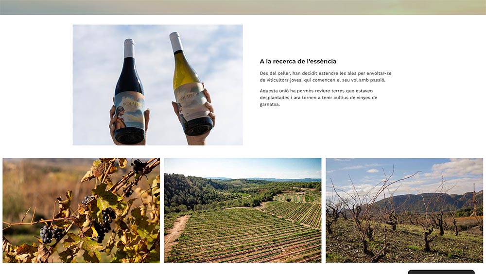 Diseño web bodegas de vino - EL VOLADOR