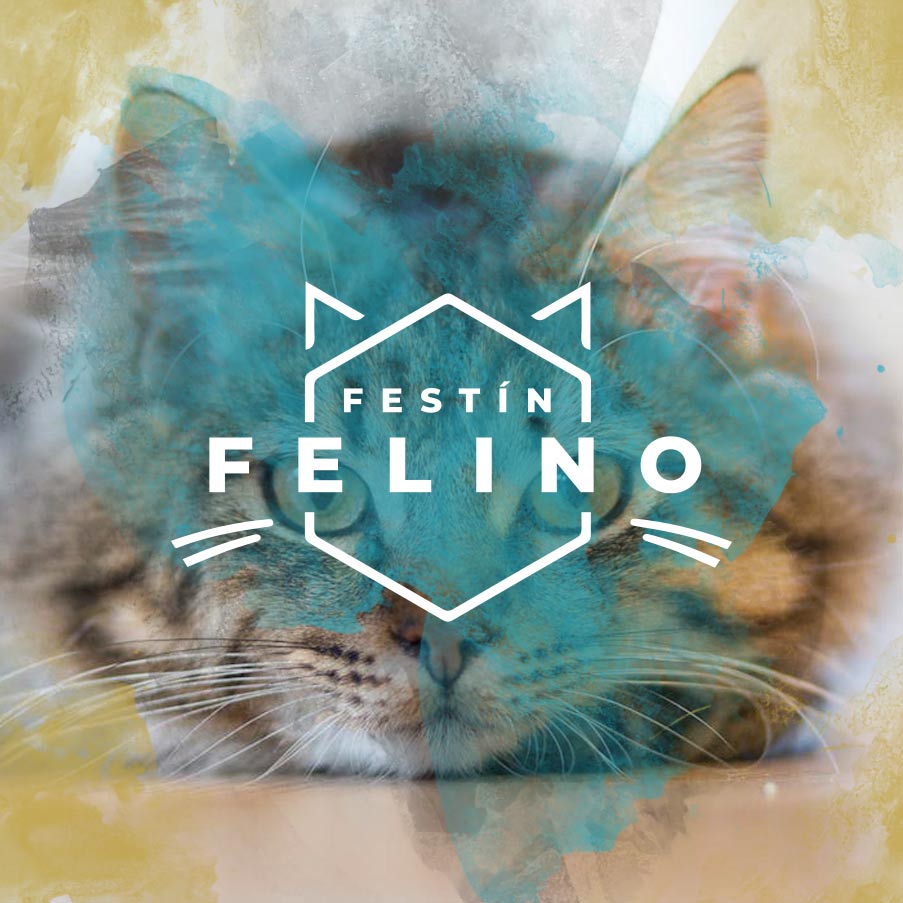 Desarrollo tienda online - Festín Felino